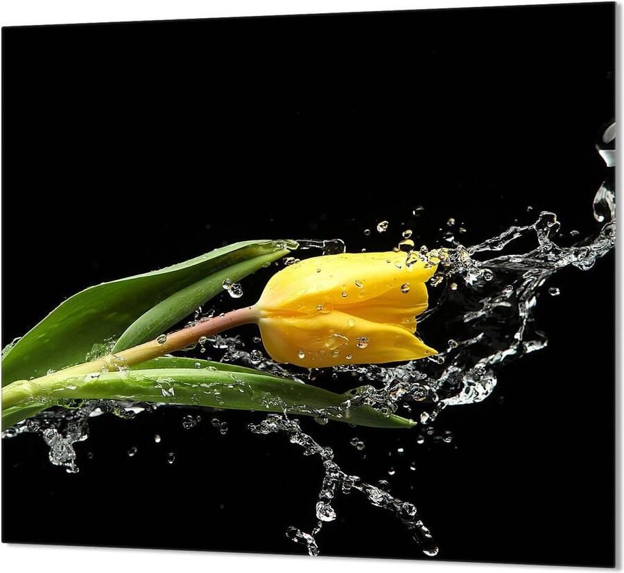 Keukenachterwand Glas Spatbescherming Kookplaat Keuken Decoratie Gehard Glas 65 x 60 cm Tulp