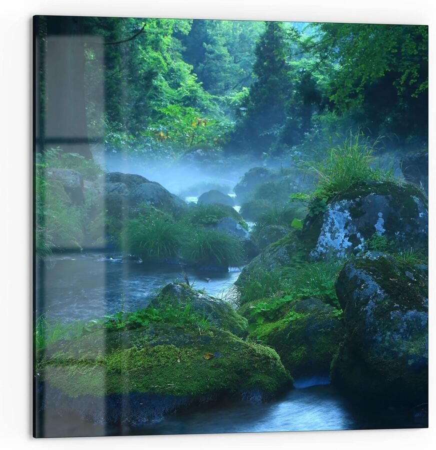 Keukenachterwand Glas Spatwand Fornuis Keuken Beschermen 4mm Gehard Glas 60x60 cm Bos Motief