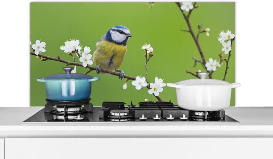 Keukenscherm Spatbeschermer Wandpaneel Koken Beschermen Scherpe Fotoprint 100x50 cm Multicolor