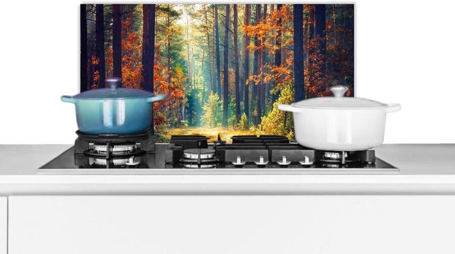 Keukenspatscherm Spatwand Keuken Kookplaat Beschermen Scherpe Natuurprint 60x30 cm Veelkleurig
