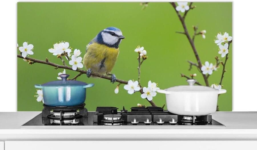 Keukenspatscherm Spatwand Keukenpaneel Kookplaat Beschermen Scherpe Fotoafdruk 120x60 cm Veelkleurig