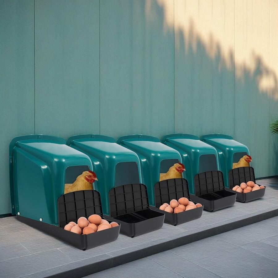 Kippennest Kastjes Legnesten Set Eieren Verzamelen Met Eierafvoer 5 Stuks Blauwgroen Zwart