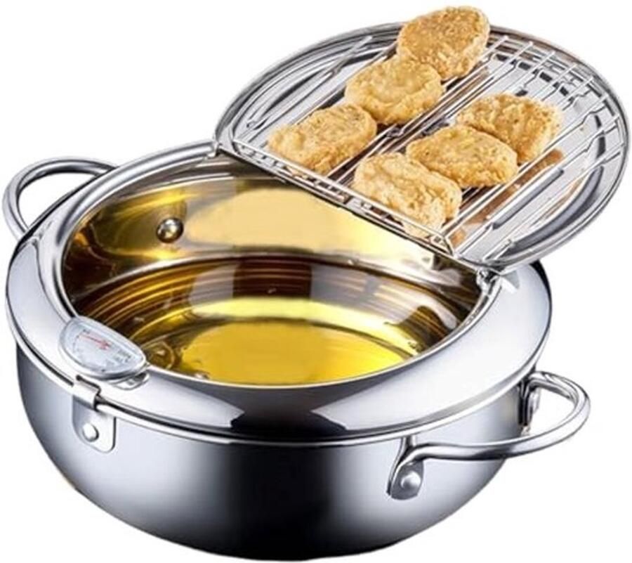 Kleine Frituurpan 2 Liter met Thermometer en Afdruiprek Perfect voor Friet Garnalen en Vis