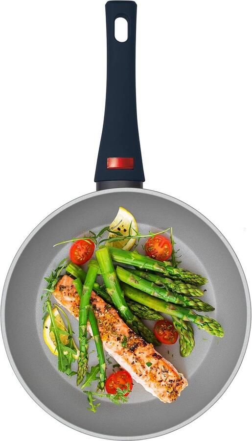 Koekenpan 20 cm Gesmeed Aluminium – Antiaanbaklaag Thermo Handle Temperatuurindicatie Geschikt voor Alle Kookplaten Inclusief Inductie