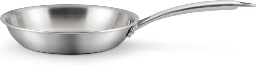Koekenpan Gezond Koken Triply Roestvrij Staal 20 cm Zilver