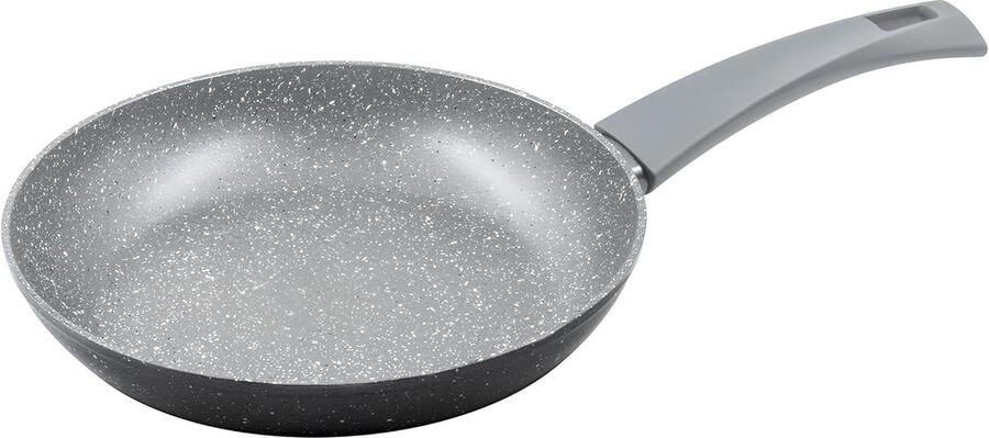 Anti-aanbakpan Koekenpan Dagelijks koken Geschikt voor inductie 20 cm diameter Zwart