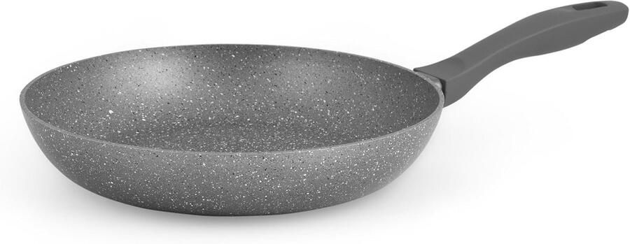 Koekenpan met antiaanbaklaag Gezond Koken Vaatwasserbestendig 30 cm Grijs