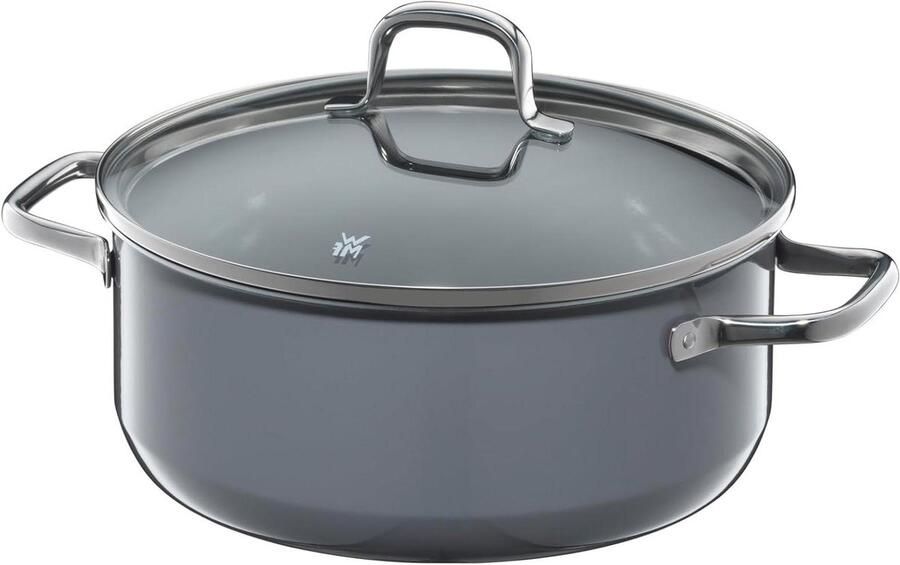 Kookpan met Deksel Braadpan Stoofpan Koken en Stoven Krasbestendig Fusiontec Materiaal 24 cm 44 Liter Grijs