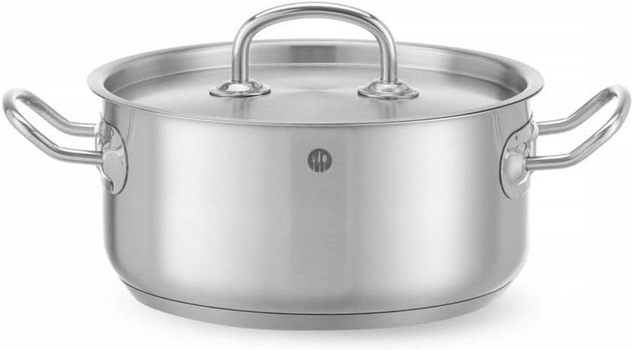 Kookpan met Deksel Soeppan Serveerpan Alle Warmtebronnen Hittebestendige Handgrepen 2.9 Liter Zilver