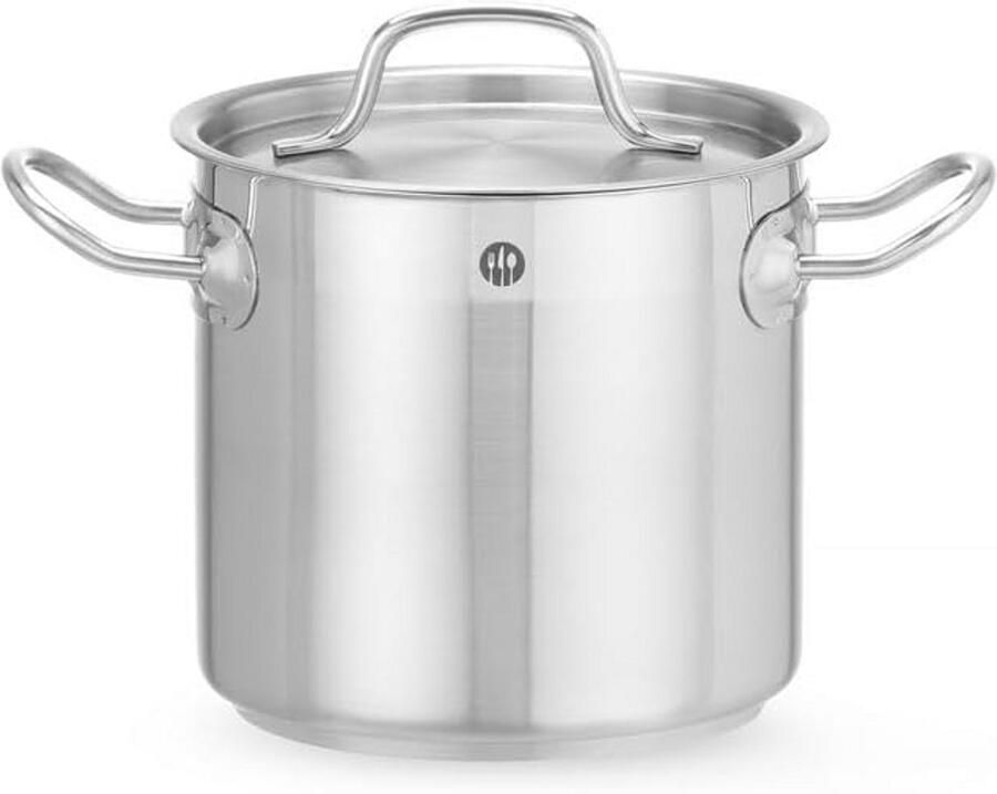 Kookpan met Deksel Soeppan Steelpan Koken en Sudderen Naadloze Inductiebodem 3 Liter Zilver
