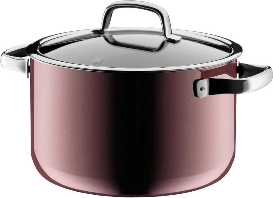 Kookpan met Deksel Soeppan Vleespan Koken en Stoven Krasbestendig FUSIONTEC Materiaal 24 cm 6.4 L Rood