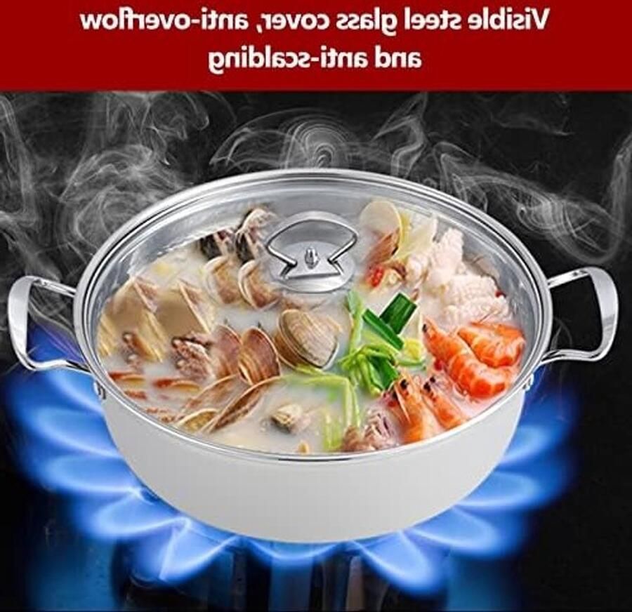 Kookpan met Dubbele Stoomfunctie RVS 2-laags Stoompan met Deksel voor Keuken 27 x 27 x 19.5 cm Perfect voor Gezond Koken en Stomen