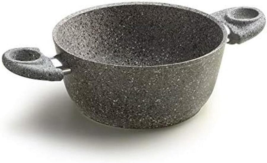 Kookpan Met Handgrepen Steelpan Inductie Snel Koken Twee Handgrepen 20 cm Zilverkleurig