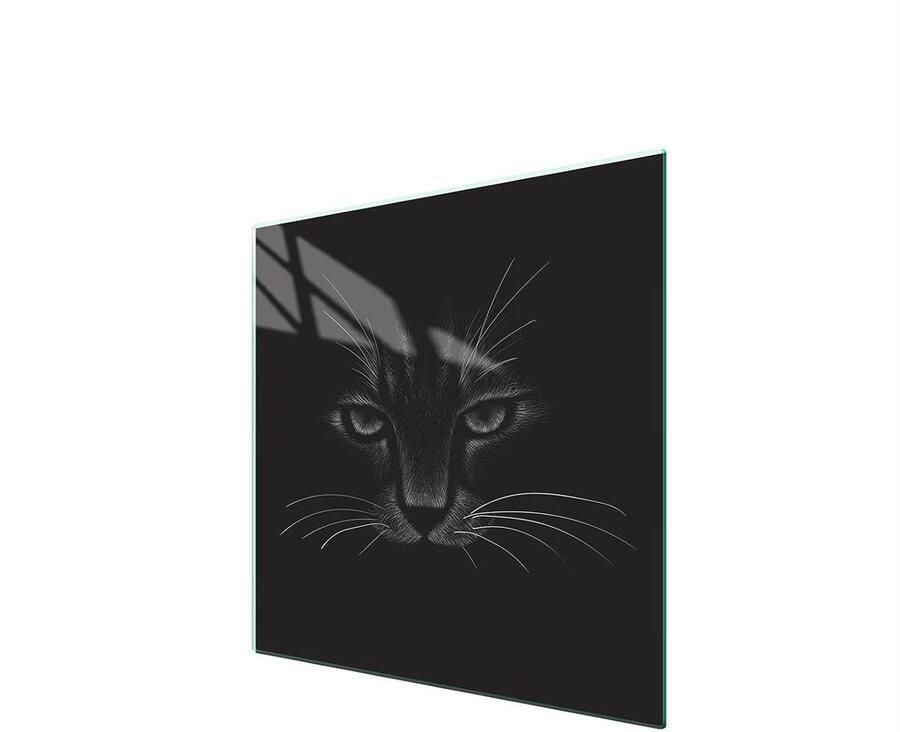 Kookplaat Afdekplaat Aanrechtblad Beschermer Keuken Beschermen Gehard Glas 50 x 52 cm Kat