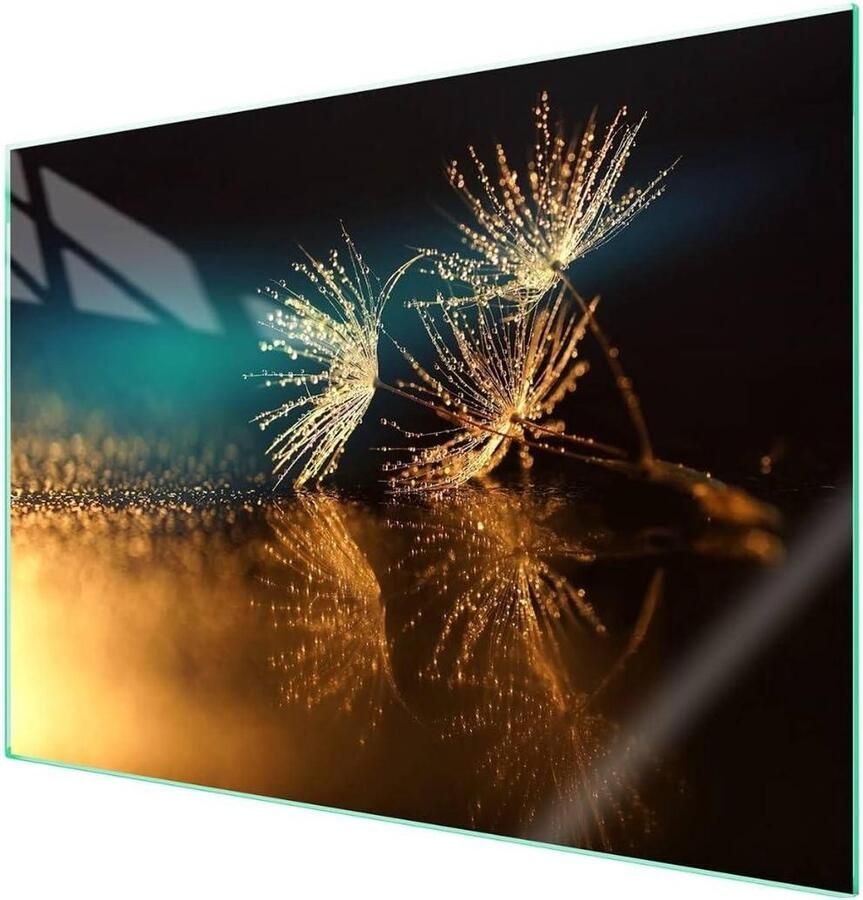 Kookplaat Afdekplaat Glasplaat Beschermer Keuken Decoratie Krasbestendig Gehard Glas 70 x 52 cm Dandelion