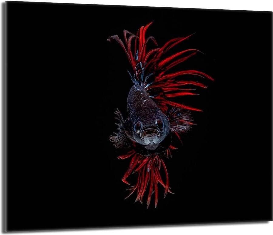 Kookplaat Afdekplaat Glazen Plaat Keuken Beschermen Krasbestendig Gehard Glas 60x52 cm Decoratief