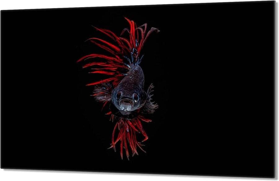 Fornuis afdekplaat Kookplaat bescherming Keuken organiseren Gehard glas 80x52 cm Mozaïek