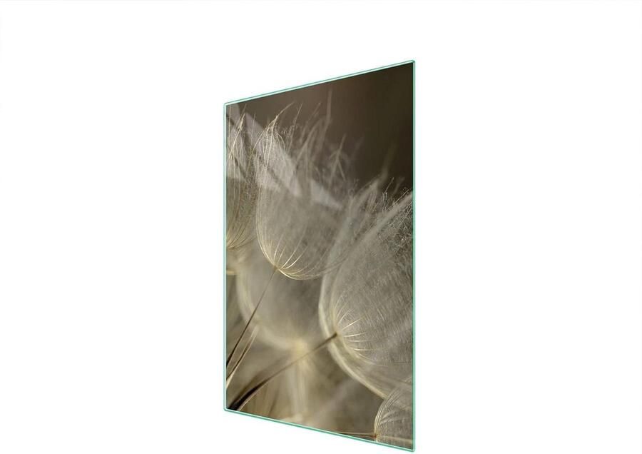 Kookplaat Afdekplaat Spatbescherming Glas Keuken Beschermen Gehard Glas 35 x 52 cm Bloemenprint