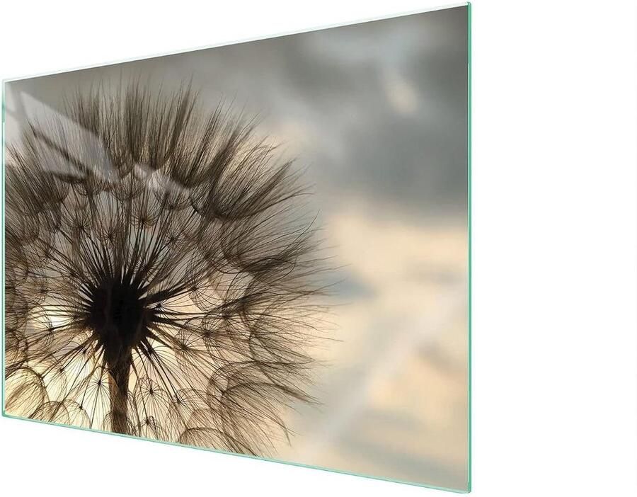 Kookplaat Afdekplaat Spatbescherming Glas Keuken Beschermen Gehard Glas 70 x 52 cm Beige