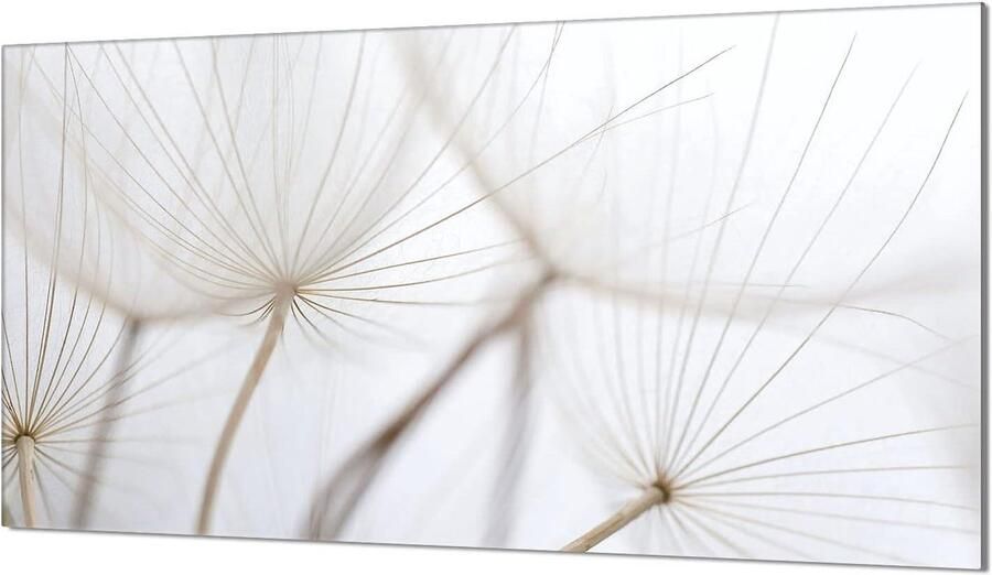 Kookplaat Afdekplaat Spatbescherming Glasplaat Keuken Werkblad Gehard Glas 90x52 cm Beige