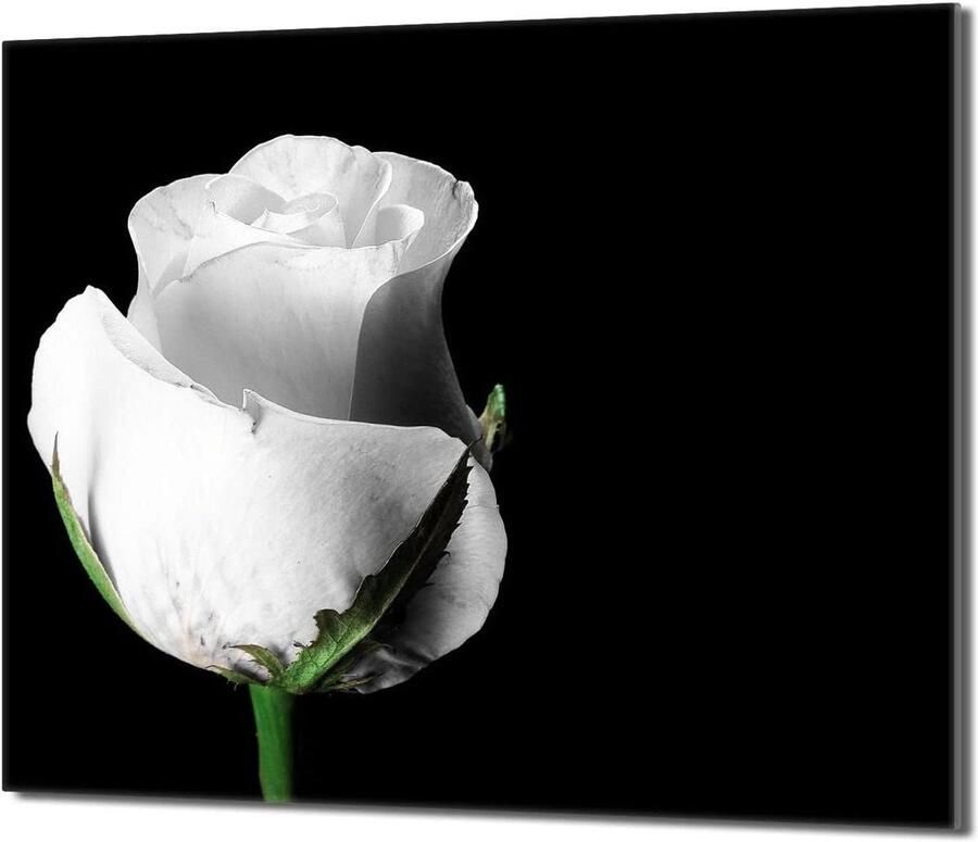 Kookplaat Afdekplaat Spatbord Glas Keuken Beschermen Gehard Glas 60x52 cm Zwart
