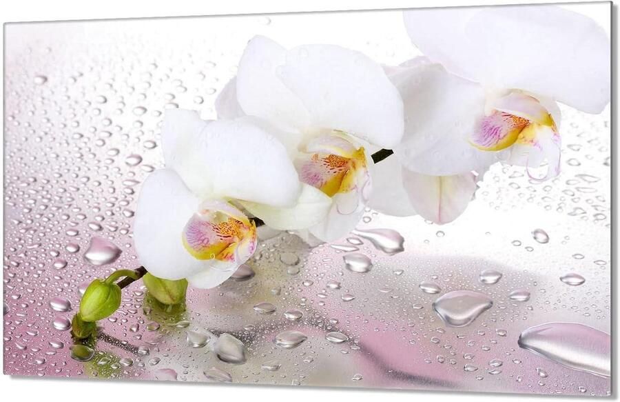 Kookplaat Afdekplaat Spatbord Glas Keuken Beschermen Gehard Glas 80x52 cm Orchidee