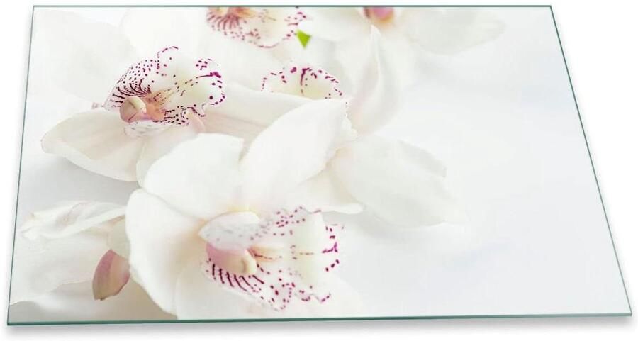 Kookplaat Afdekplaat Werkblad Beschermer Keuken Werkruimte 5-in-1 Multifunctioneel 80x52 cm Wit Bloemen
