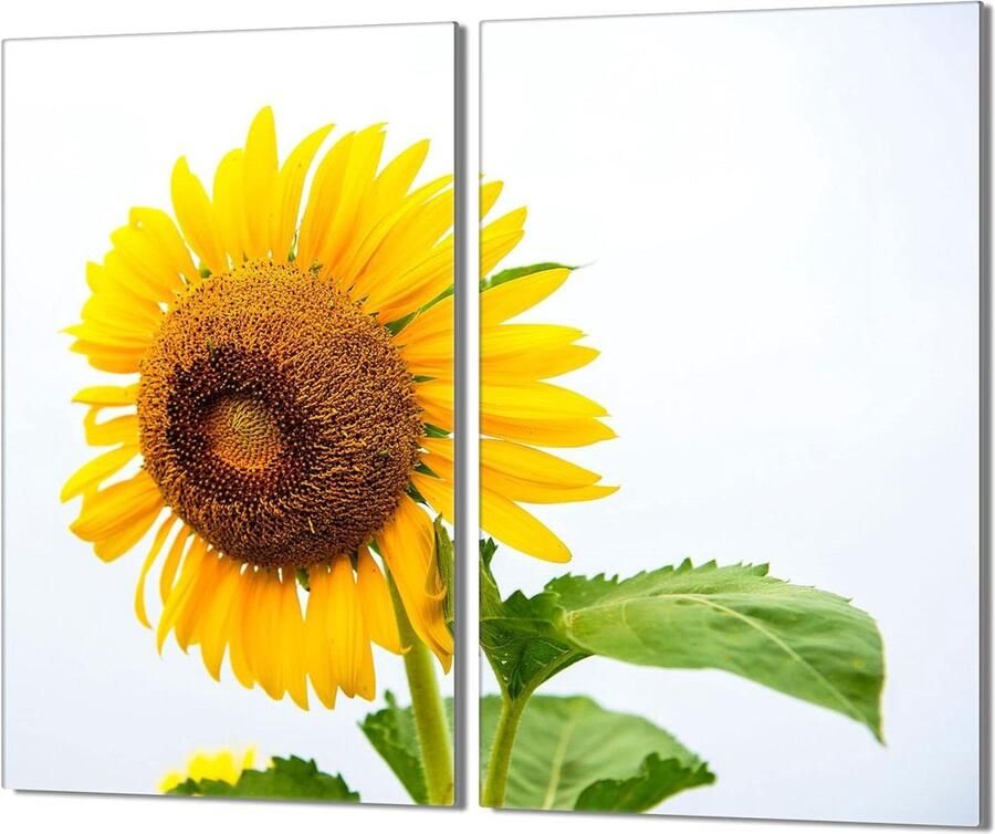 Kookplaat Afdekplaten Snijplank Glas Bescherming Keuken Dubbel Delig 2x 30x52 cm Bloemenprint