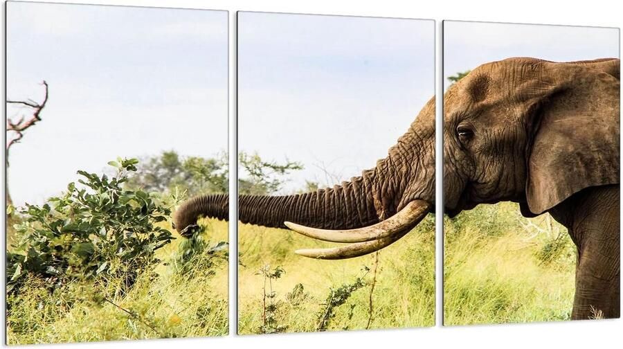 Kookplaat Afdekplaten Werkblad Beschermers Keuken Decoratie Gehard Glas 90 x 52 cm Veelkleurig