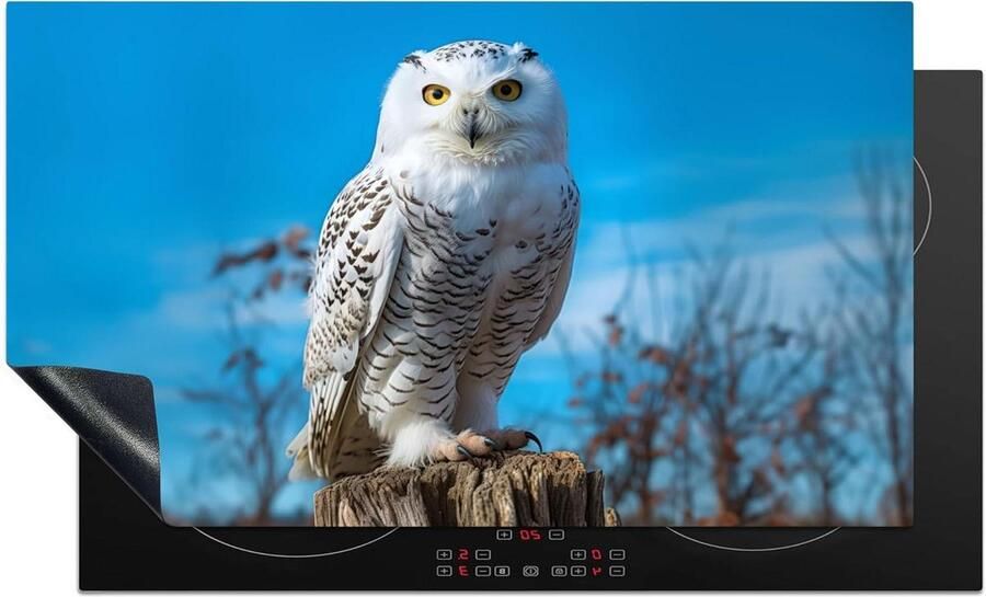 Kookplaat Beschermer Aanrecht Mat Extra Werkruimte Unieke Foto Print 91 x 52 cm Nature Wit