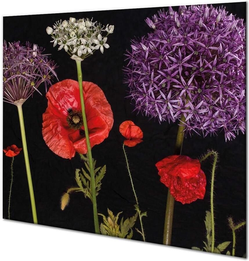 Kookplaat Beschermer Aanrechtblad Bescherming Keuken Werkruimte Gehard Glas 60x52 cm Transparant
