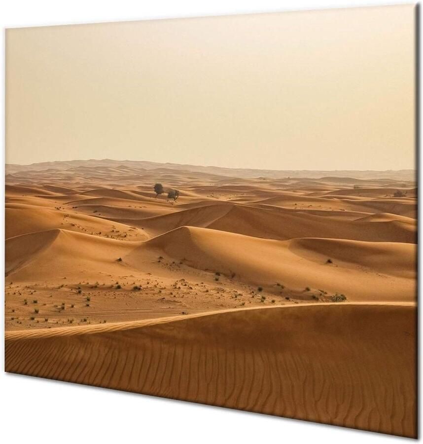 Kookplaat Beschermer Aanrechtblad Keuken Werkruimte Gehard Glas 60x52cm Transparant
