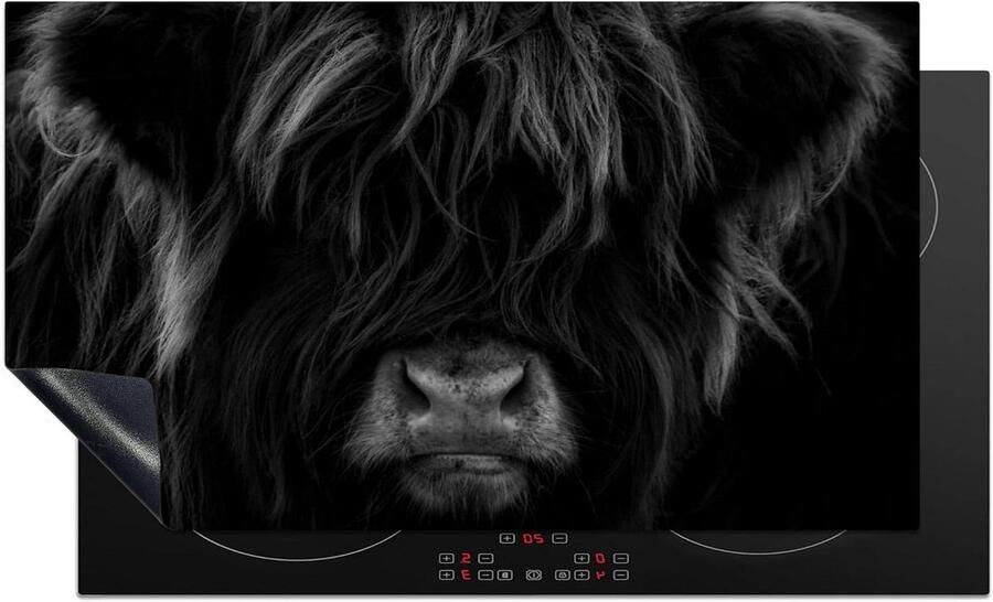 Kookplaat Beschermer Inductie Mat Keuken Decoratie Unieke Foto Print 91x52 cm Hooglander Zwart