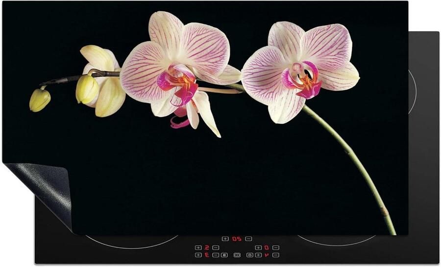 Kookplaat Beschermer Inductie Mat Keuken Decoratie Unieke Foto Print 91x52 cm Orchidee Bloemen