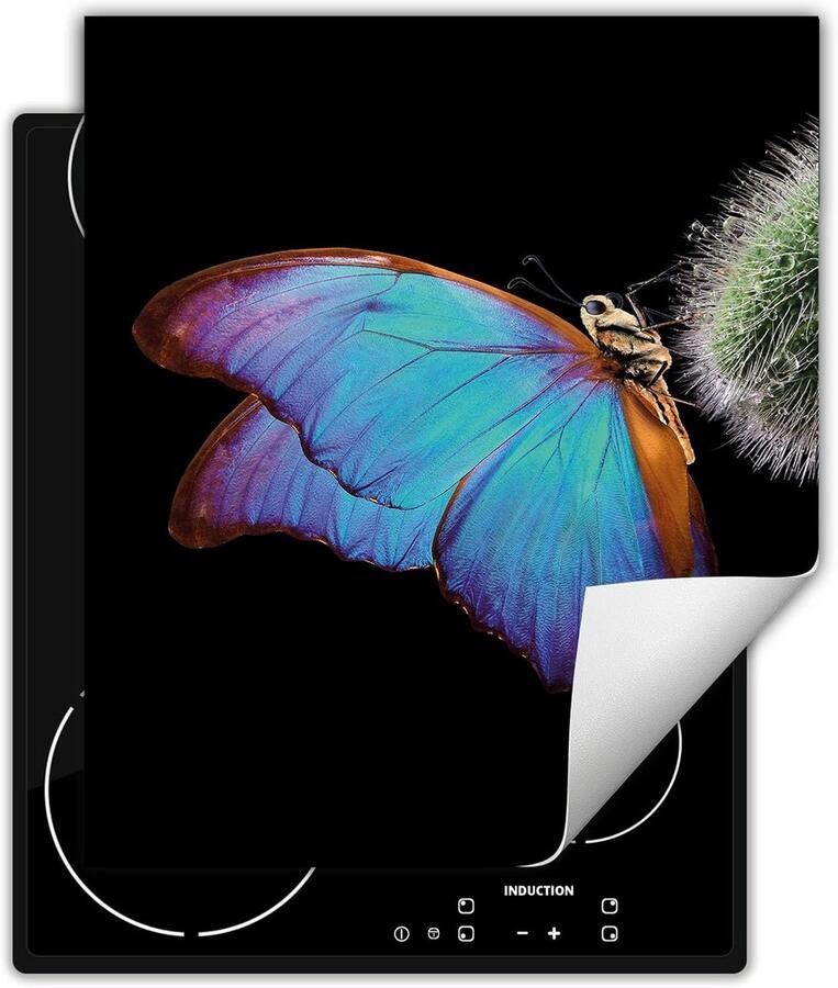 Kookplaat Beschermer voor Inductie en Keramisch 45x52 cm Vinyl met Zwarte Vlinderprint