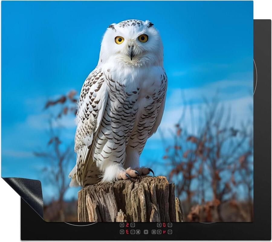 Kookplaat Beschermer Werkblad Beschermer Extra Werkruimte Unieke Foto Print 58x51 cm Uil Natuur - Foto 1