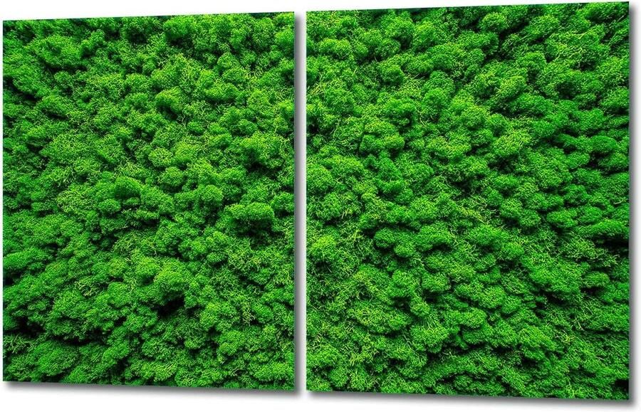 Kookplaat Beschermers Aanrechtblad Bescherming Keuken Beschermen Gehard Glas 40 x 52 cm Groen