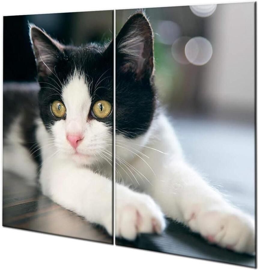 Kookplaat Beschermers Snijplank Set Keuken Werkruimte Gehard Glas 2x 30x52cm Transparant - Foto 1
