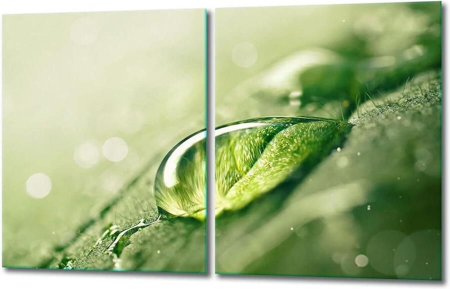 Kookplaat Covers Beschermplaten Glas Keuken Beschermen Gehard Glas 2x 40x52 cm Groen