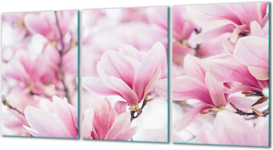 Kookplaat Covers Beschermplaten Glas Keuken Beschermen Gehard Glas 3x30x52 cm Roze