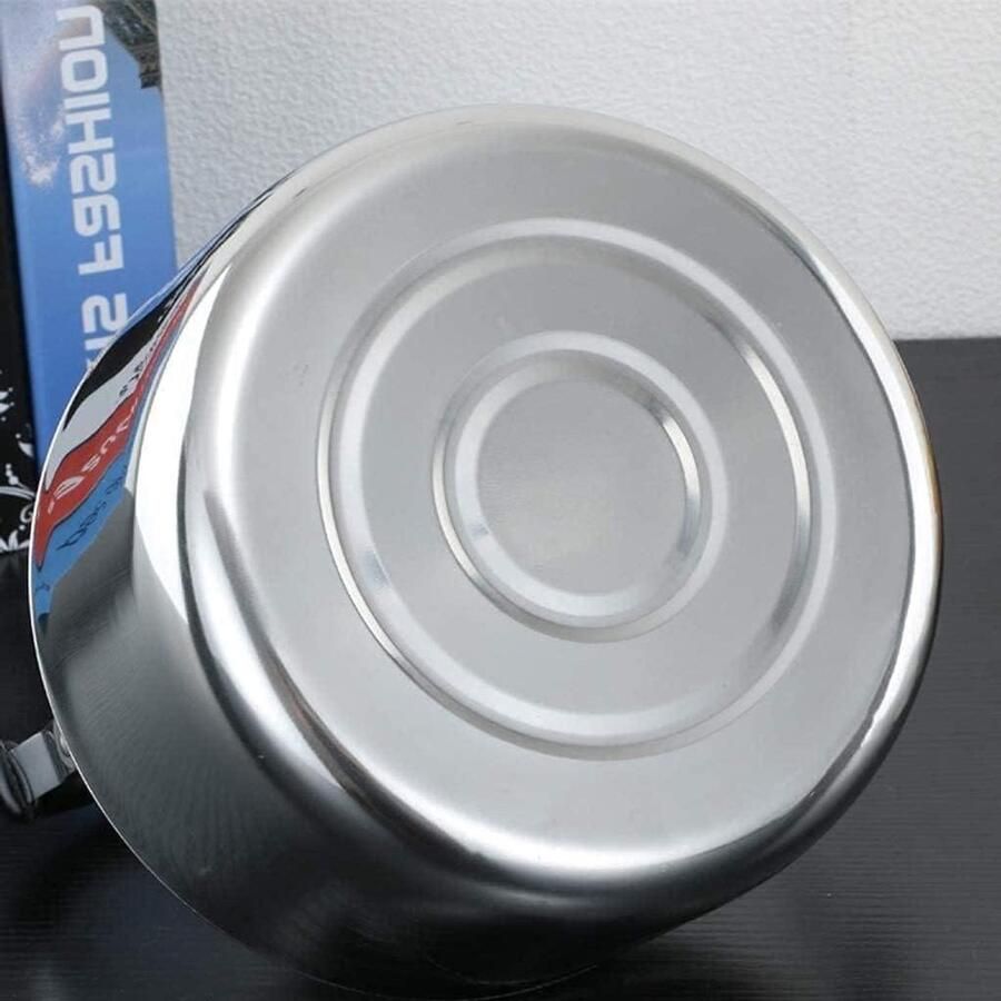 Kookplaat Ketel Theepot Inductie Water Koken Gezondheid Veilig 6L Zilver