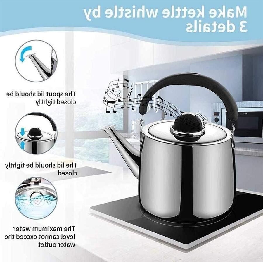 Fluitketel RVS Theepot Kookplaat Water Koken Hittebestendig Handvat 6L Zilver