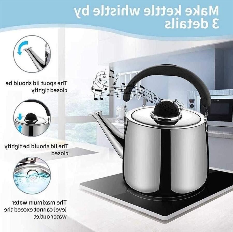 Kookplaat Ketel Theepot Waterkoker Water Koken Zacht Fluitgeluid 6L Capaciteit Zilver