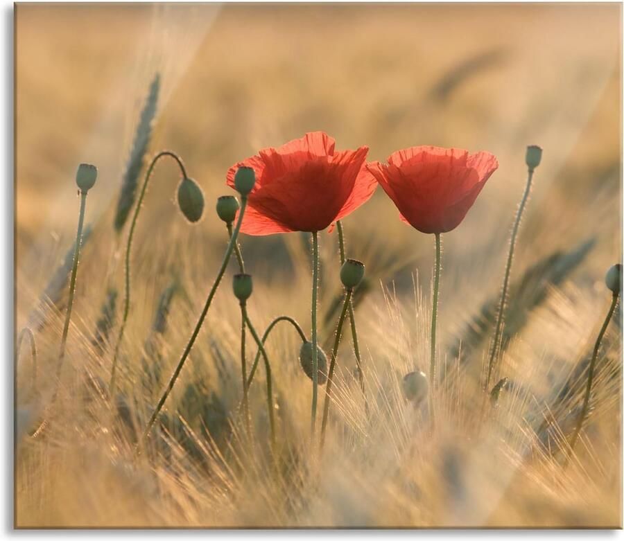 Kookplaat Spatbescherming Glasplaat Aanrecht Keuken Beschermen Decoratief Bloemenpatroon 60x52 cm Rood