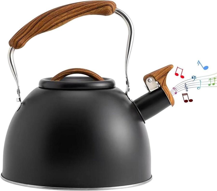 Kookplaat Waterkoker Theepot Fluitketel Water Koken Snelle Warmtegeleiding 3 Liter Capaciteit Zwart