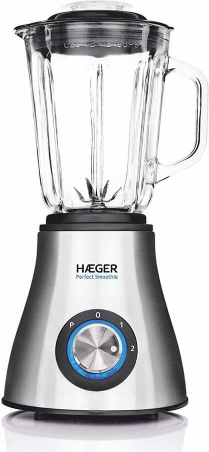 Krachtige Glas Blender voor Smoothies en Milkshakes 600W