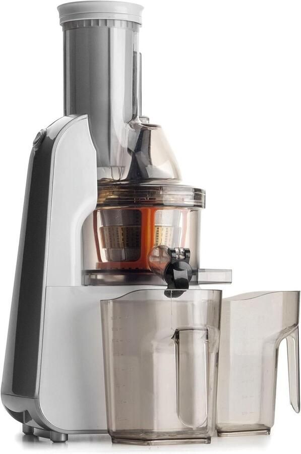 Langzaam sapcentrifuge Slow juicer Gezond sap maken Stille motor 240 Watt Grijs