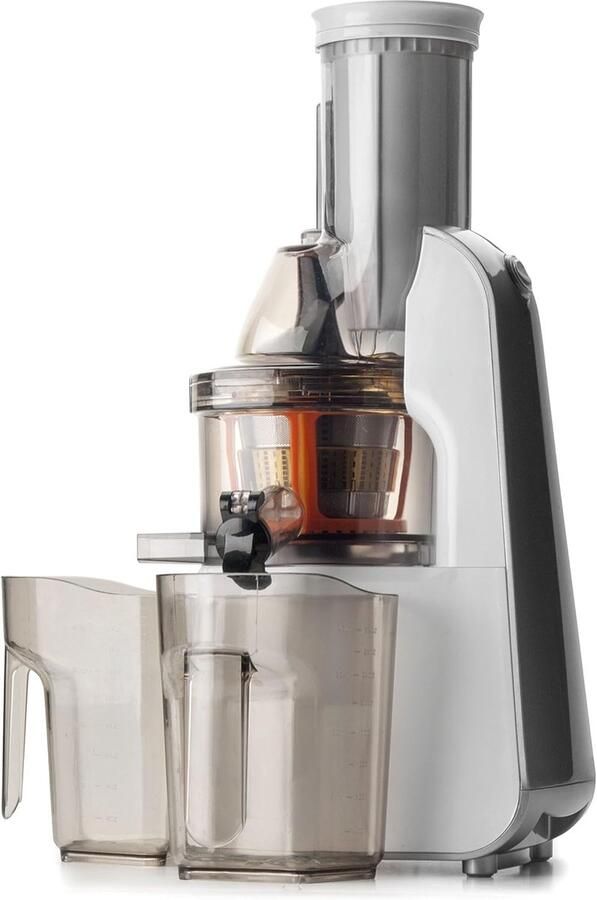 Langzaam Sapcentrifuge Slow Juicer Gezond Sap Maken Stille Motor 240 Watt Grijs