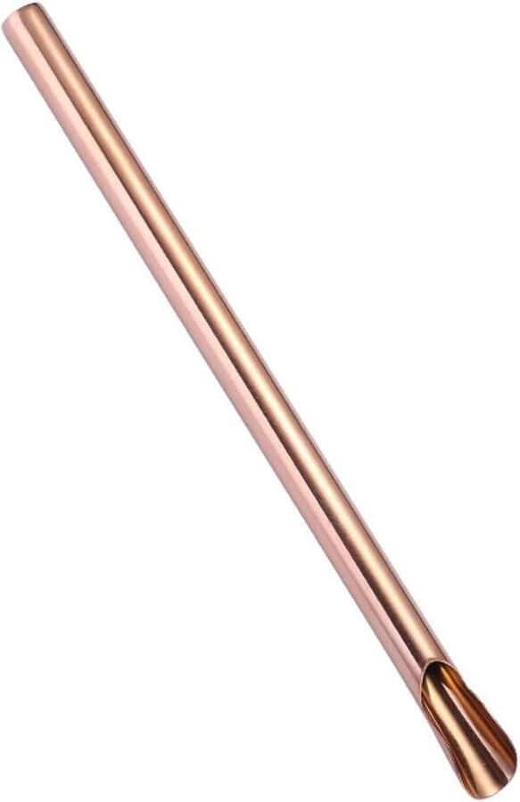 Lepel Set Dessertlepels Sorbet Genieten Spiegelgepolijst Roestvrij Staal 2 Stuks Roségoud