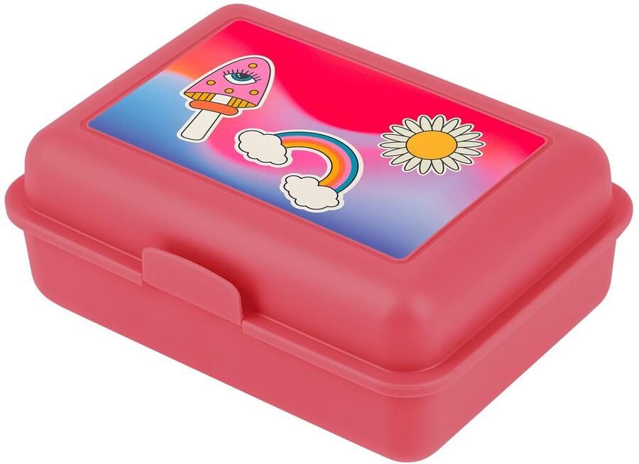 Lunchbox voor kinderen voor school – Lunchbox voor meisjes jongens kleuterschool – Jausenbox Brotzeitbox Brotbox Snackbox (Hippie)